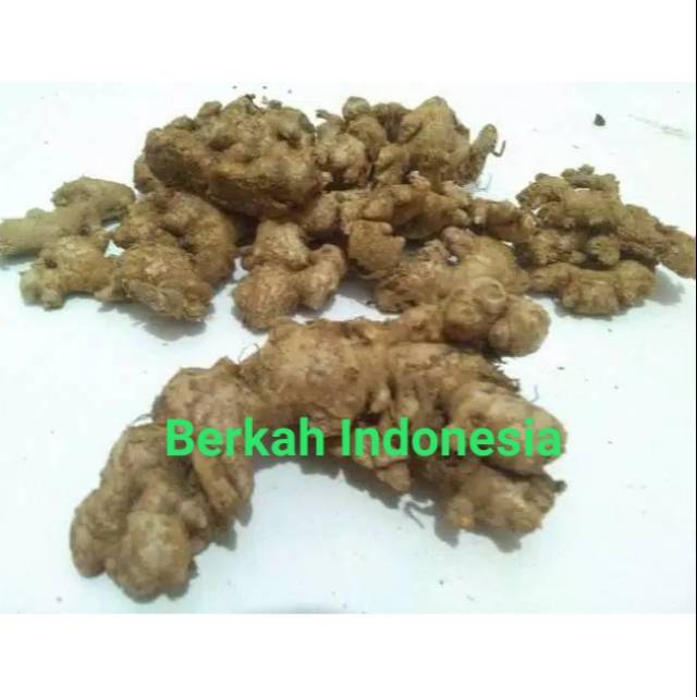 

Jahe Emprit kemasan 100 gram