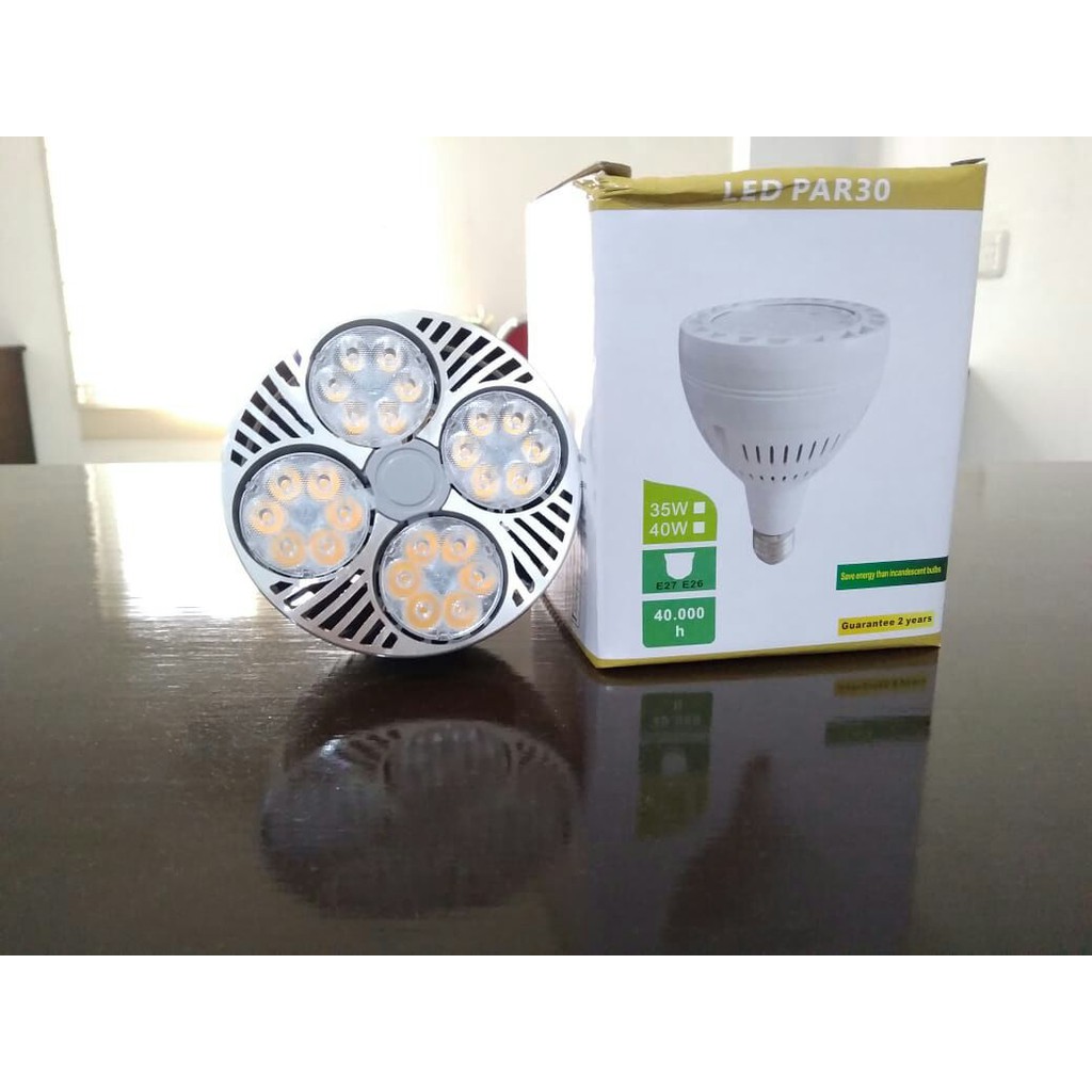 Lampu LED Par 30