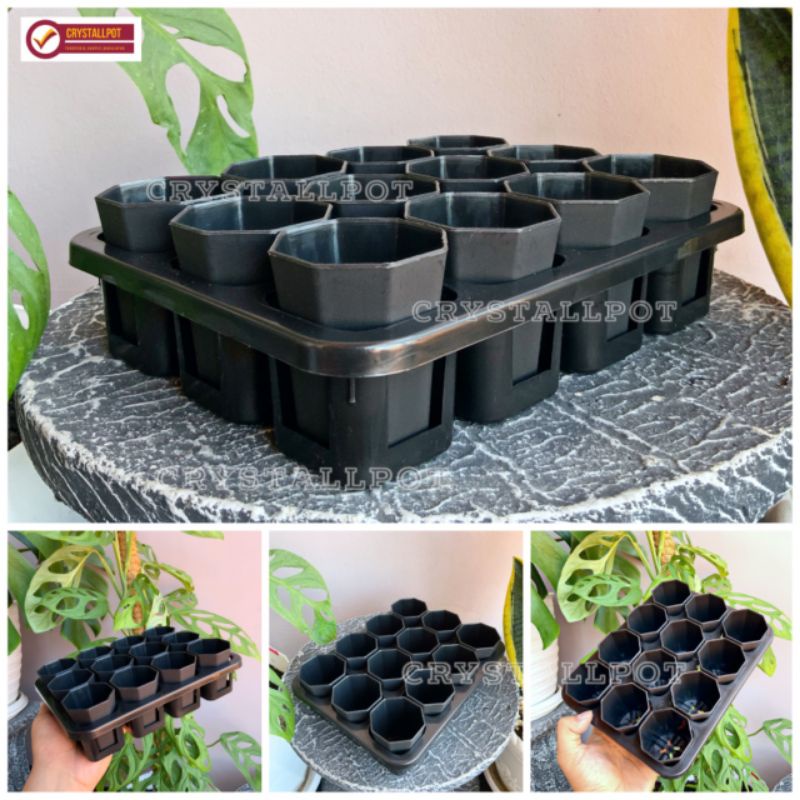 1 set Tray + POT BUNGA NKT PAGODA MINI 5CM HITAM | tray semai bibit