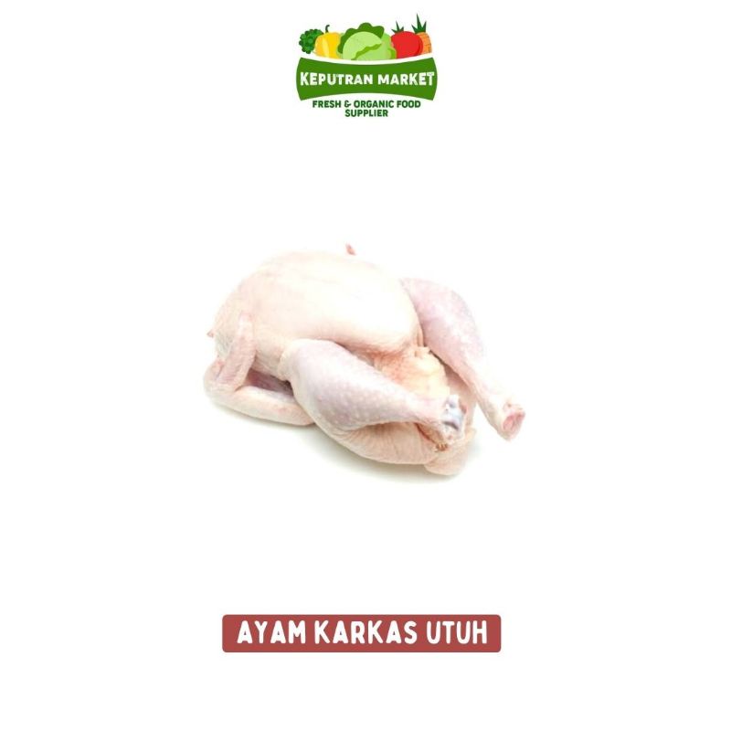 

Ayam Karkas Utuh / Ayam Broiler / Unggas