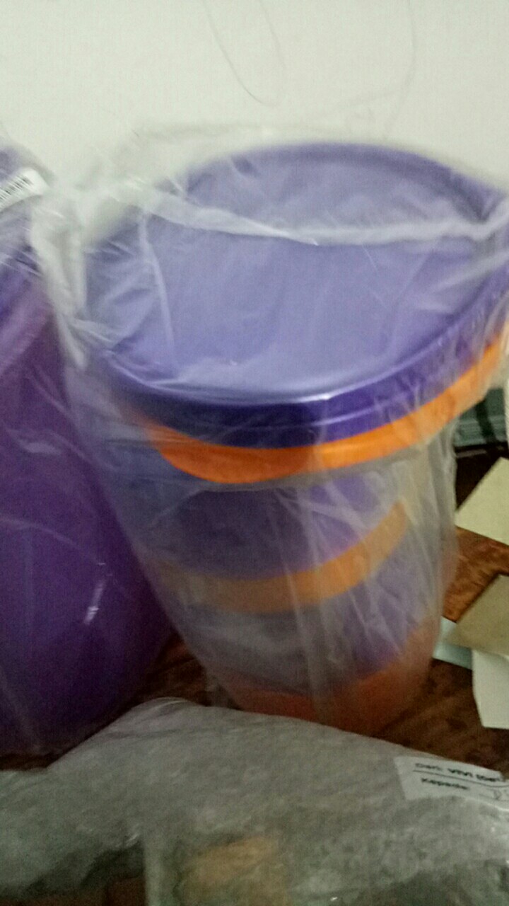 Tropical Round Paket Kotak Bulat 6p Summer Go Round