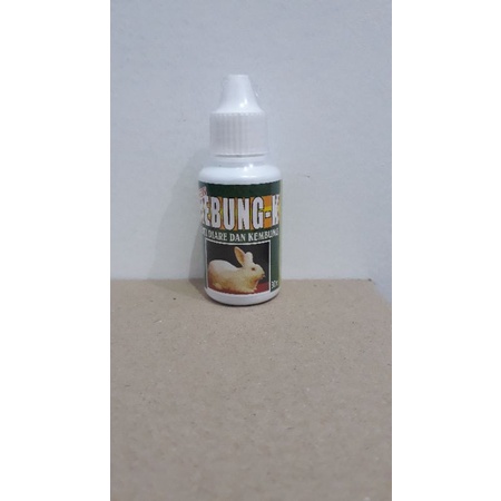 Rebung-k obat kembung & diare pada kelinci