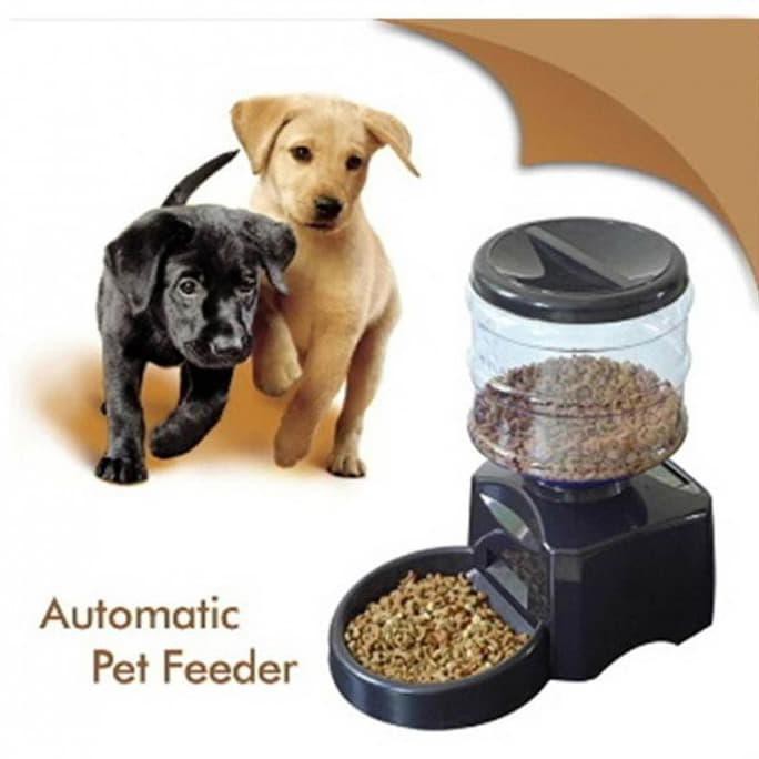 Sale Perfect Pet Dinner Automatic Feeder For Cat Dog Tempat
