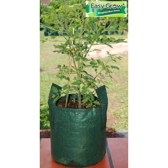 Planter bag 15 Liter EASY GROW planterbag 15liter easygrow kantong Pot polybag semai benih bibit Tanaman bunga sayuran buah planter bag