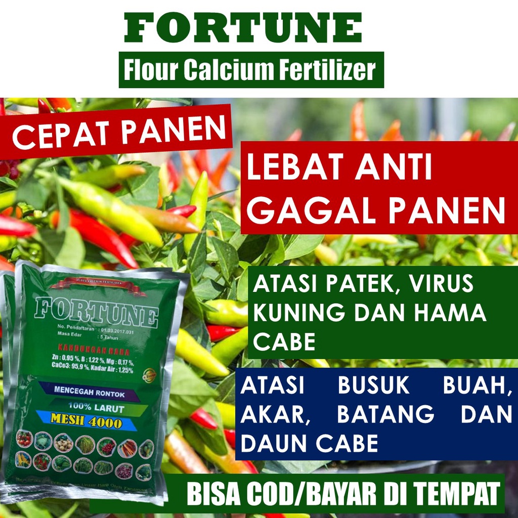 PUPUK KALSIUM CABE TERBAIK FORTUNE 1 kg- Pupuk Cabe Kocor dan Semprot Terbaik 100% Organik Ampuh Men