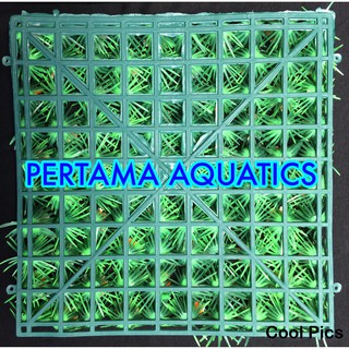 RUMPUT AQUARIUM RUMPUT ARTIFICIAL RUMPUT HIASAN  DINDING 