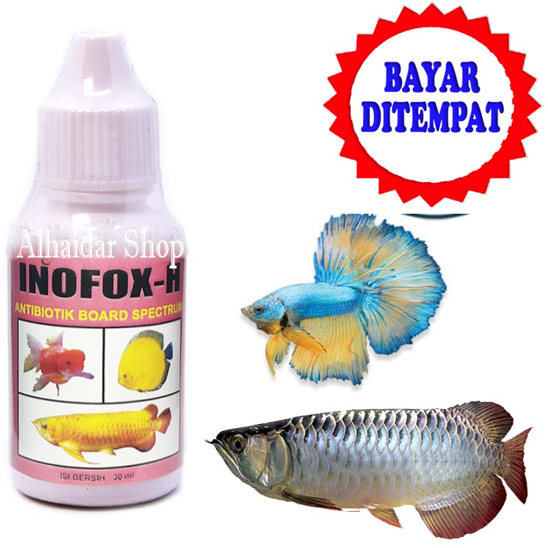 VITAMIN IKAN CUPANG HIAS ANTIBIOTIK IKAN HIAS GURAME MAS KOKI ARWANA INOFOX H