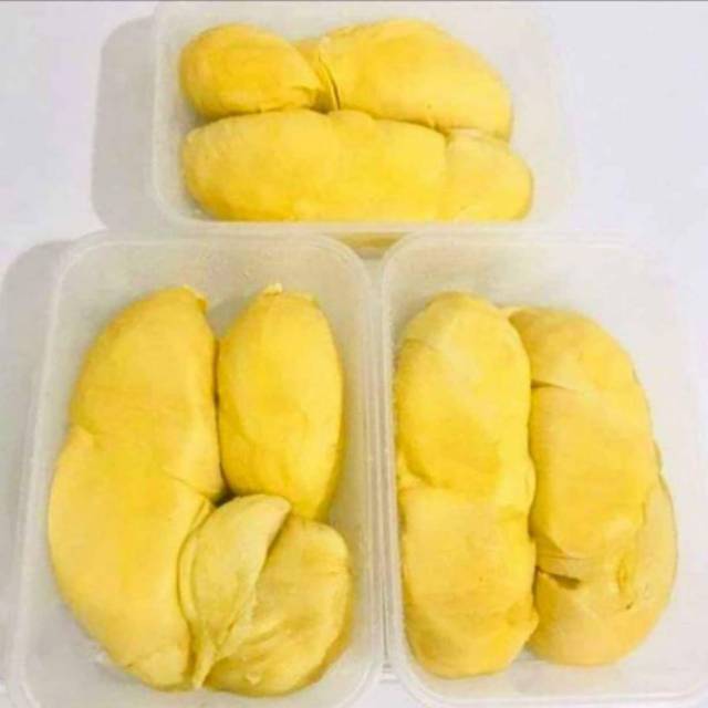 

Montong forzen
