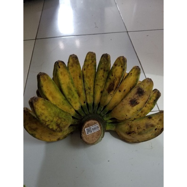 

Pisang Kepok | naga_exspress