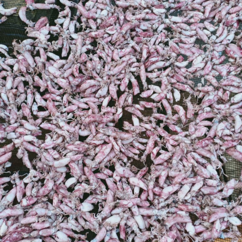 

cumi baby kering 500 gram