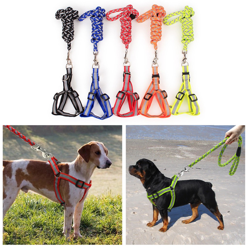 Pet Harness Dog Cat / Tali Tuntun Anjing Kucing Tambang Reflective Doky