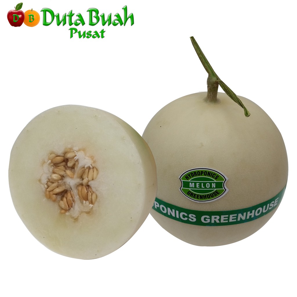 DUTA BUAH Melon Honey Dew White 1kg-1,5kg)
