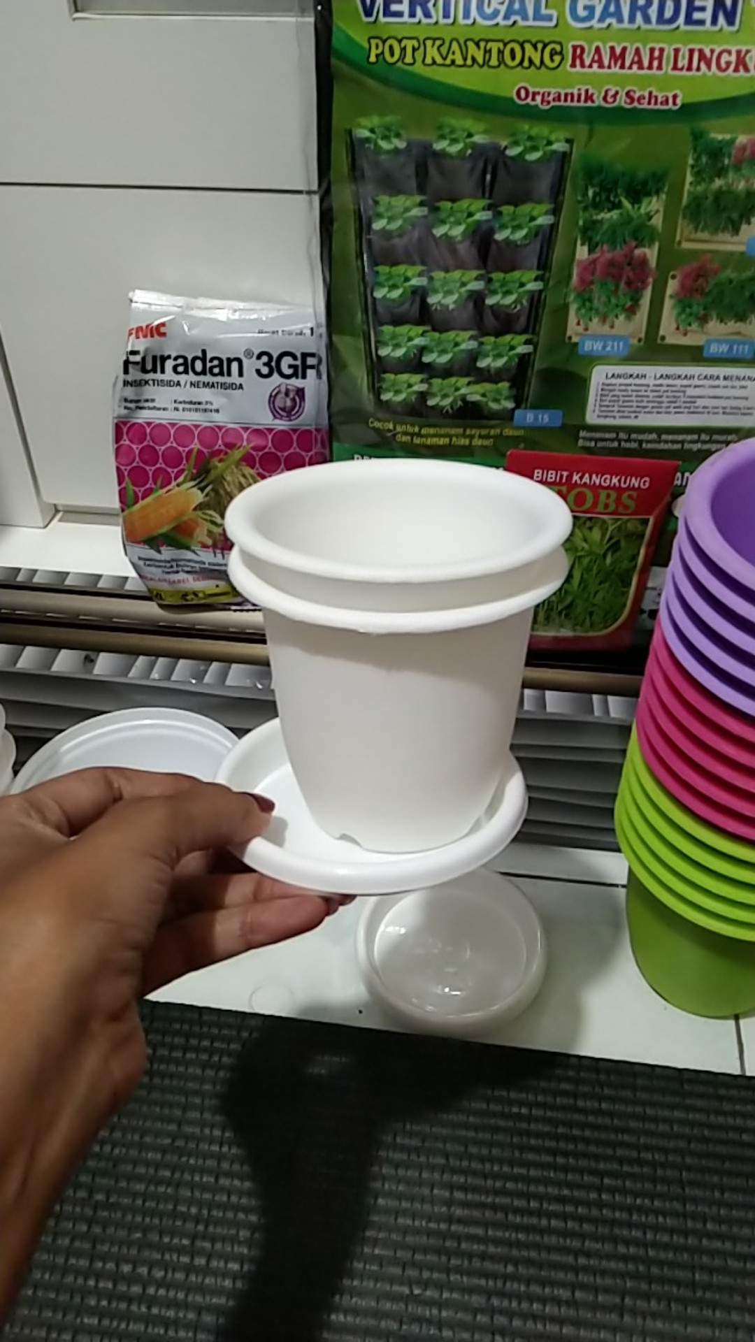 Pot Bunga Tanaman Cactus Putih 10cm + Tatakan Putih