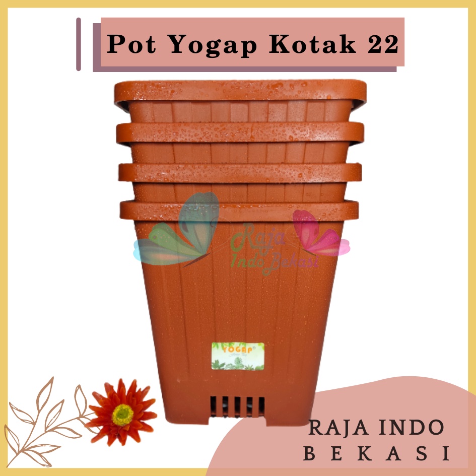 Pot Yogap Kotak 22 Merah Bata Coklat Terraccota Terakota Orange Pot Yogap 10 13 15 17 18 19 25 30 Pot Yogap Lusinan Pot Kotak Panjang Tinggi Pot Segi Persegi Empat Hias Panjang Plastik