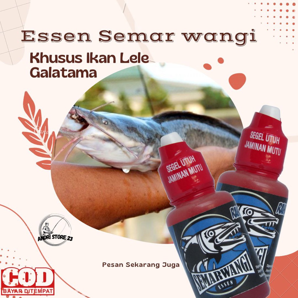 Jual Essen Semarwangi Ikan Lele Lomba Galatama Induk Babon And Ikan Rame