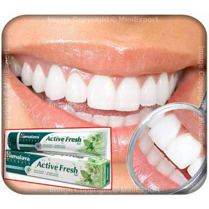 Himalaya Herbal Tothpaste ACTIVE FRESH 100g