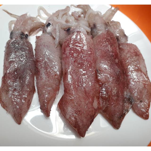 

Cumi Utuh Frozen 500gr isi 9-11 ekor