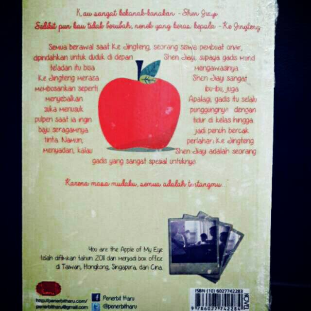 Novel You Are the Apple of My Eye