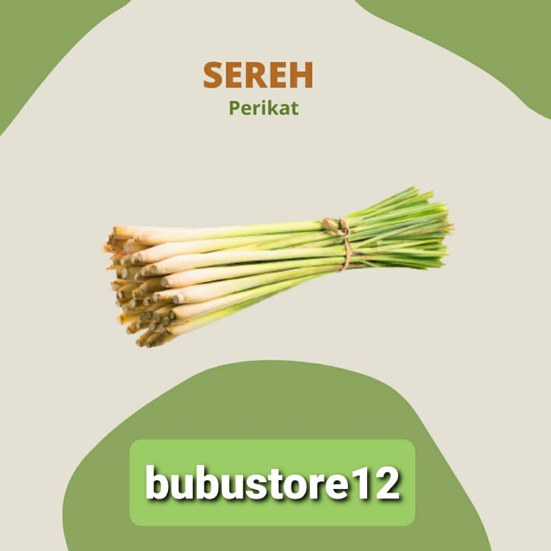 

SEREH PERIKAT/SERAI PERIKAT
