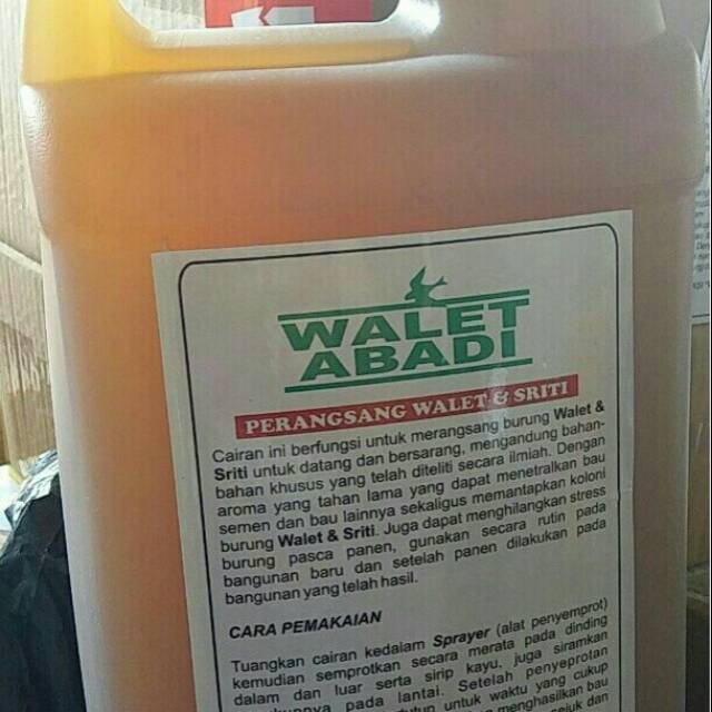 Walet Abadi parfum dinding aroma pemikat walet 5 liter