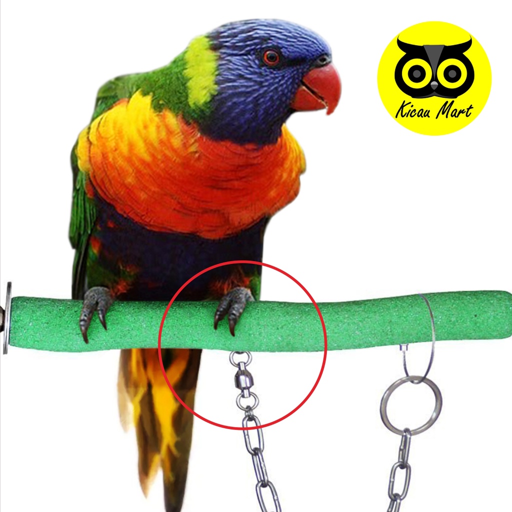 RANTAI BURUNG NURI PELANGI RING BORGOL IMPORT 7 MM RANTAI FF UMBARAN FREE FLYING RANTAI GELANG KAKI RING LATIH BURUNG PUTER PELUNG DERKUKU TEKUKUR BESAR JALAK BALI