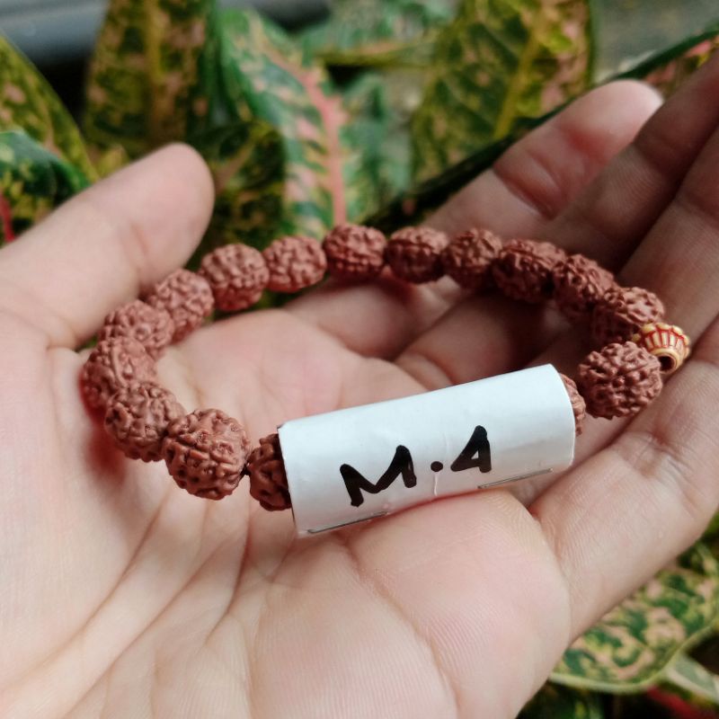 Gelang Rudraksha (Genitri) Mukhi 4 (4 Wajah)