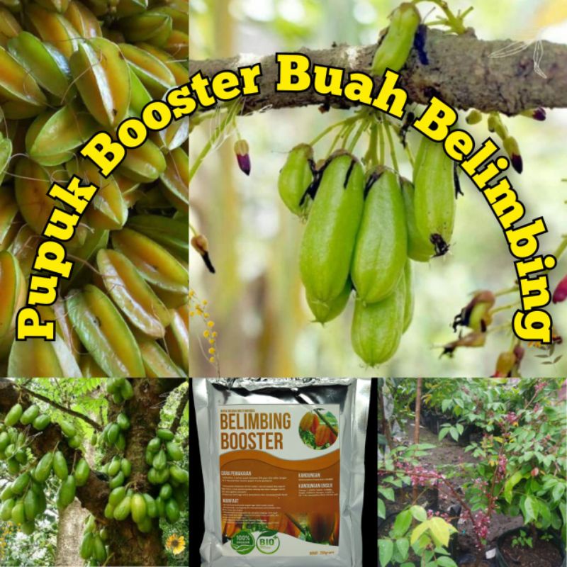 Pupuk booster buah belimbingMurah Pupuk booster buah organik non kimia pupuk cair kilat npk urea mer