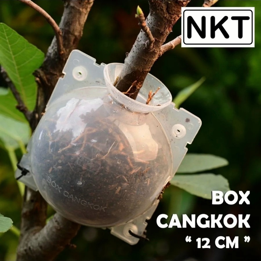 PROMO SEKARGANES Alat Cangkok Tanaman 12 cm NKT Bola Cangkok Kecil 12 cm Bening Alat Cangkok Tanaman Model Bola Pohon Modifikasi Transparan 12 cm Besar 1 Set - Alat cangkok Tempat pot wadah nkt box cangkok media cangkok 12 cm bening - SATUAN