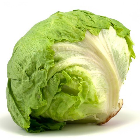 Benih Bibit Selada Bokor Head Lettuce 30 Benih Dua Ribuan PG SBY