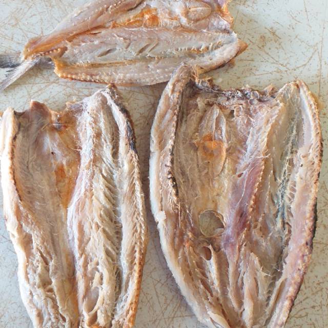 

Ikan jambal