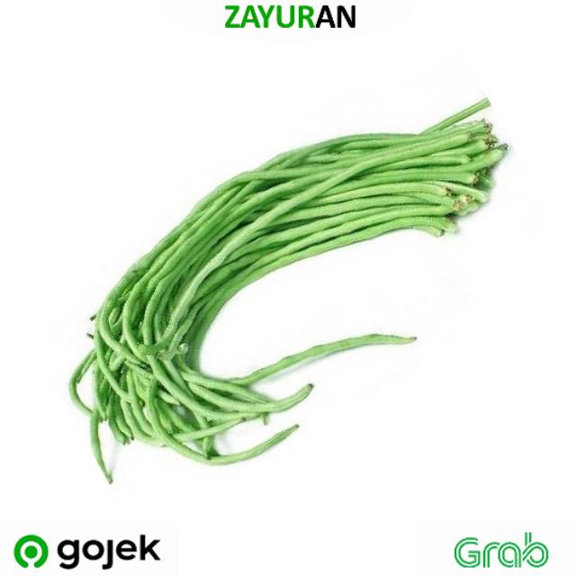 

Kacang Panjang | Zayuran