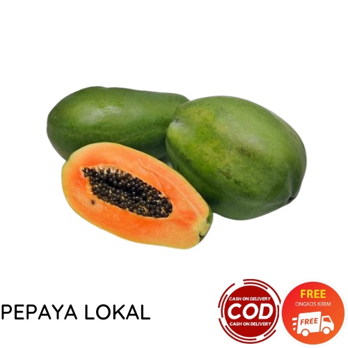 PEPAYA LOKAL