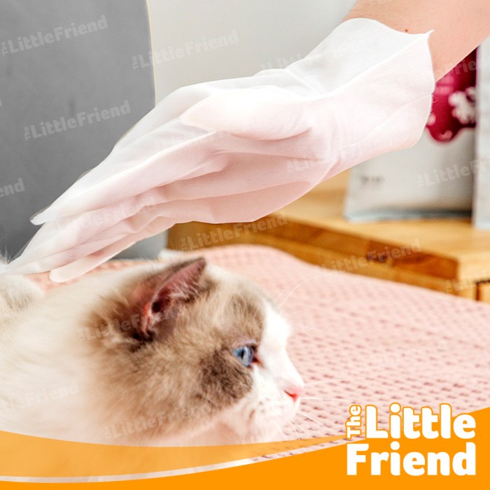 Pet Disposable Gloves Wipes Tisu Waslap Basah Berbentuk Sarung Tangan