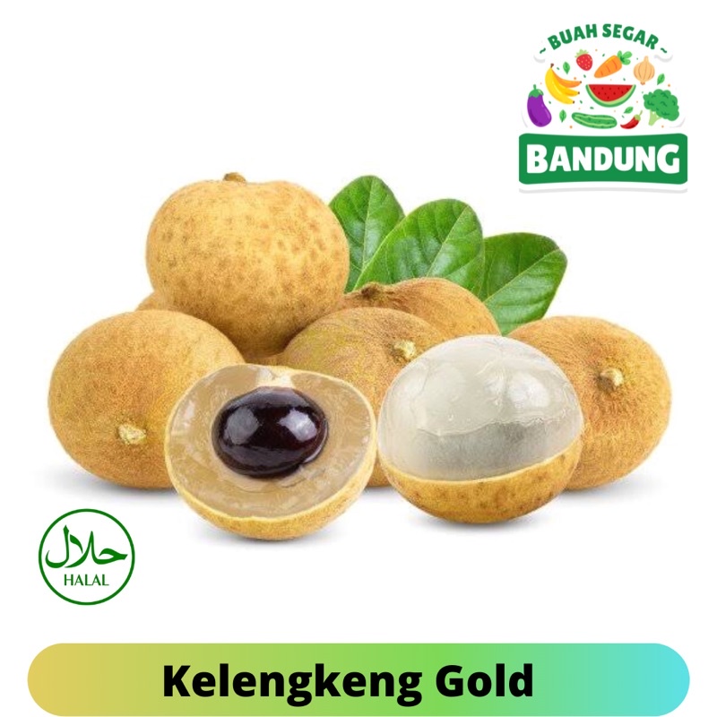 

Kelengkeng Gold Super Manis Premium Fresh Kemasin 1KG