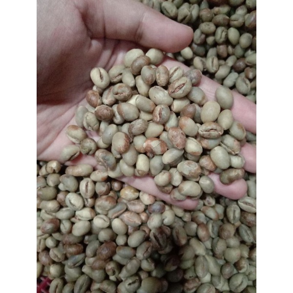 

KOPI LANANG/KOPI BIJI TUNGGAL/PEABERRY BEANS MURAH BERKUALITAS