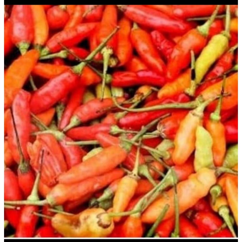 

Cabe Rawit Merah