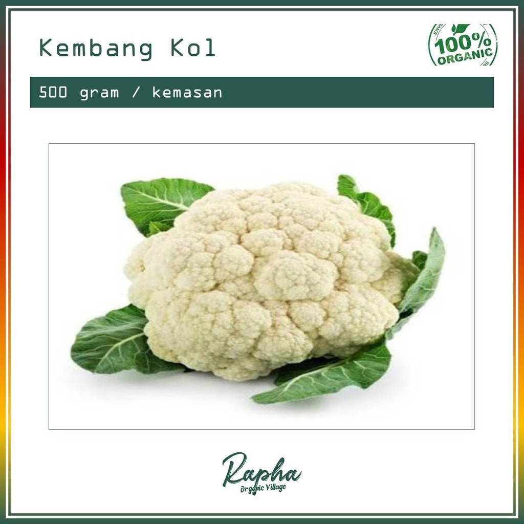 

Kembang Kol Organik