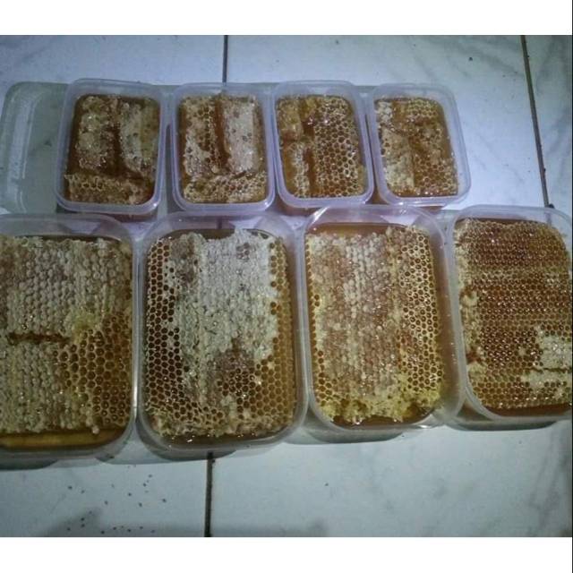 

Madu sarang murni