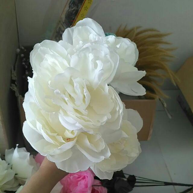 Wanflower Bunga Peony Ball X5 * Putih