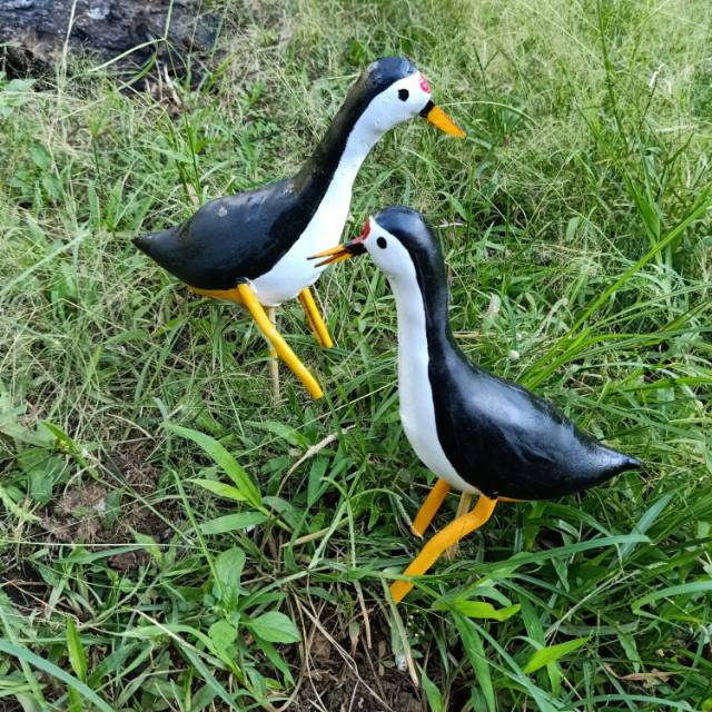 710 Gambar Patung Burung Ayam Ayaman Terbaik