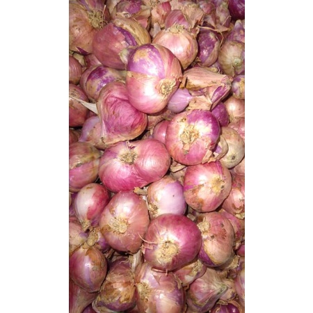 

bawang merah berebes