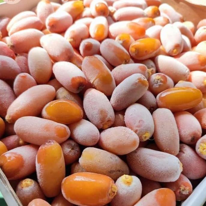 

TERBARU kurma ruthob dus isi 5kg tangkai bonus ice gel instant sameday gojek/KURMA 1KG/KURMA BARARI/KURMA RUTHOB/KURMA BAM/KURMA PALM FRUIT/KURMA TANGKAI/KURMA AZWA/KURMA SUKKARI/KURMA SAFAWI/KURMA TUNISIA/KURMA MUDA KUNING/KURMA MUDA HIJAU/KURMA