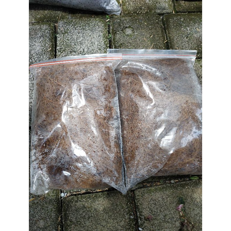 serabut kelapa/fiber kelapa