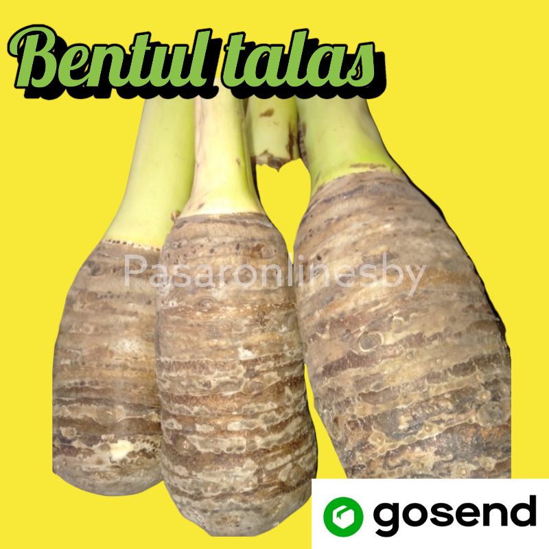 

PASAR GUBENG - Bentul bentol talas per biji