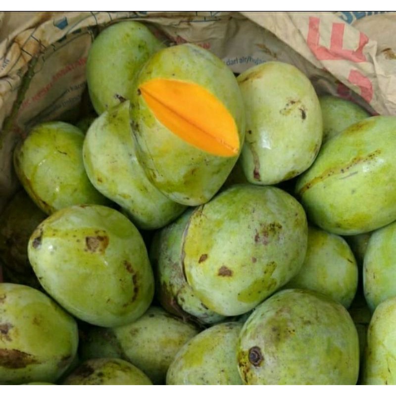 

Mangga Cengkir