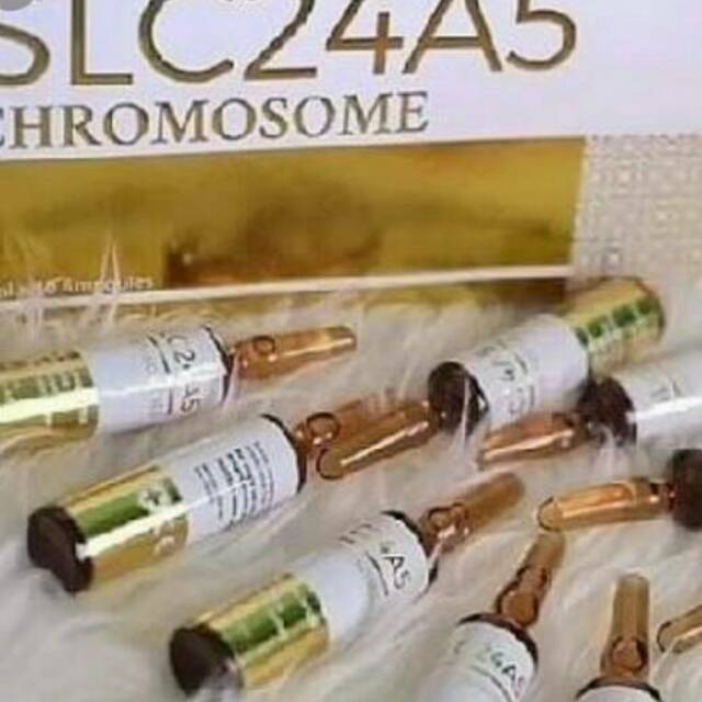slc24a5 chromosome gold 100% ORIGINAL