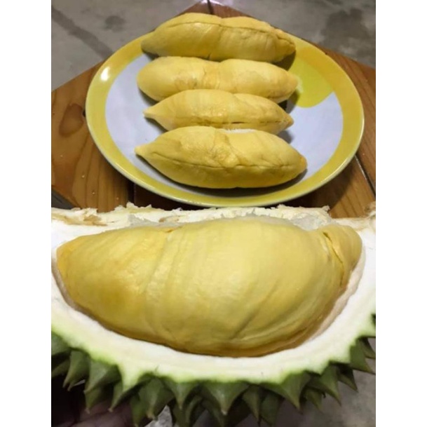 

Durian Bulat Utuh Montong Palu Parigi 2kg