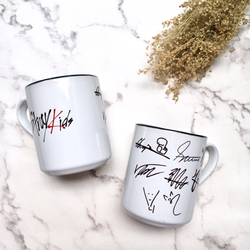 READY STOCK!! Mug Kpop Str*ykldz
