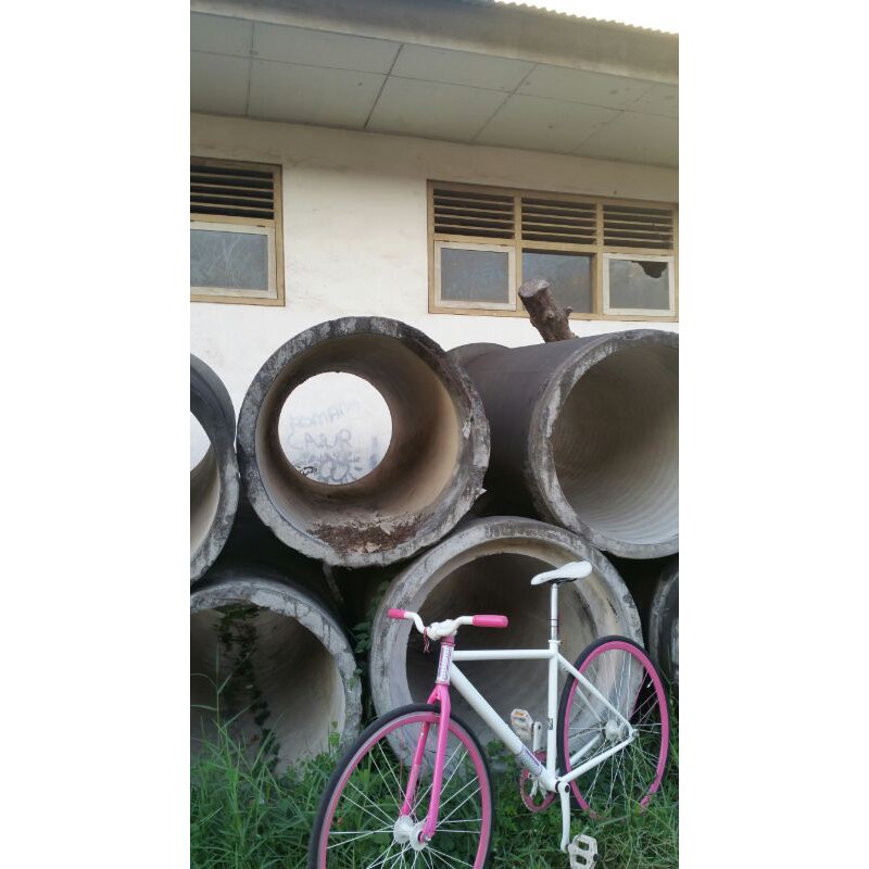 FIXIE United Soloist02