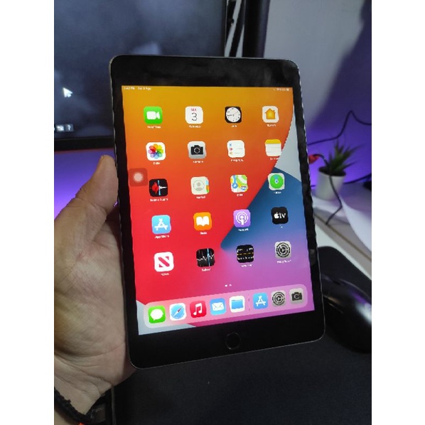 IPad Mini 5 256gb Wifi Second Gray Mulus